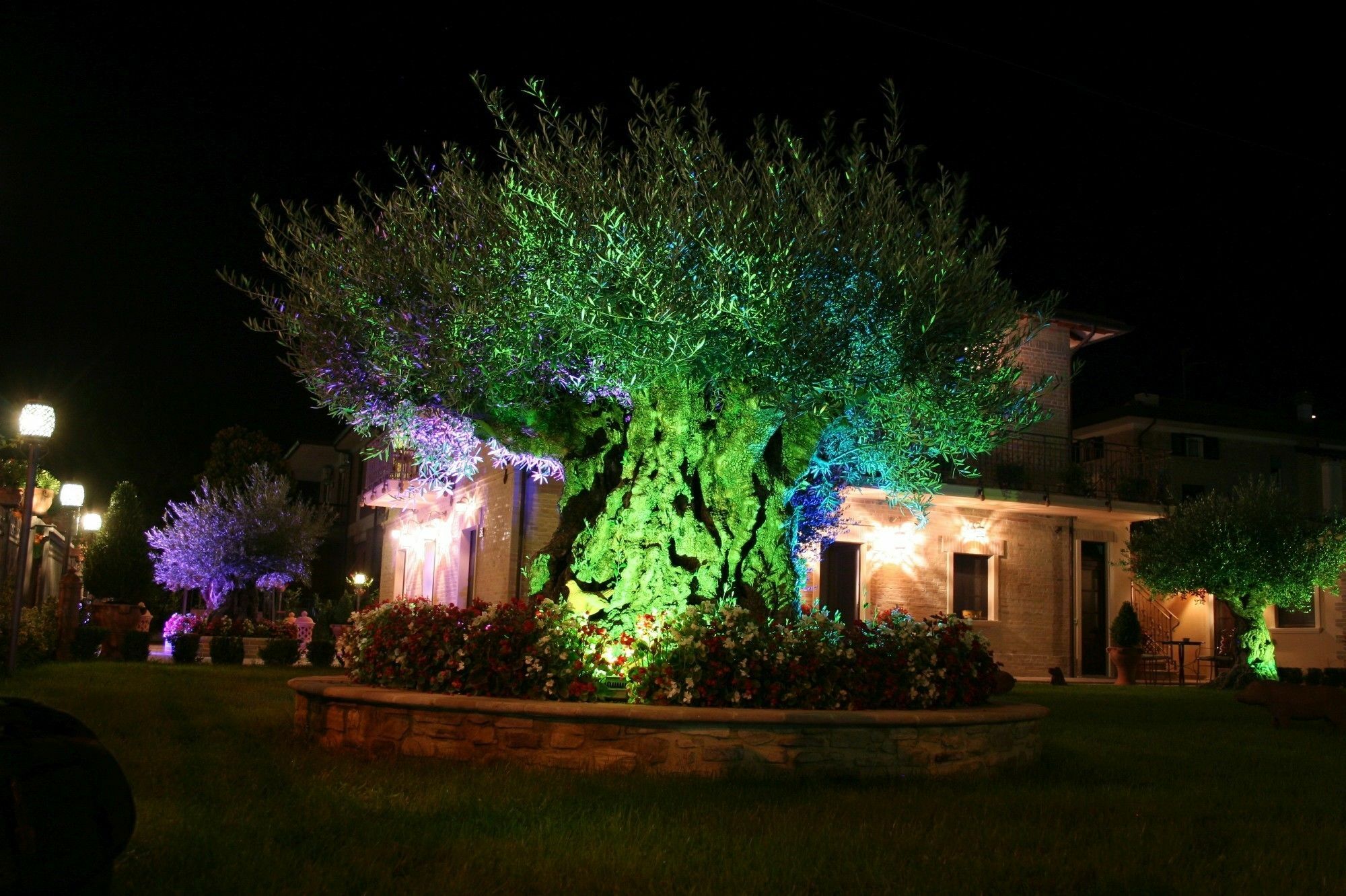 Domus Angeli Assisi
